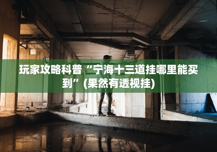 玩家攻略科普“宁海十三道挂哪里能买到”(果然有透视挂)