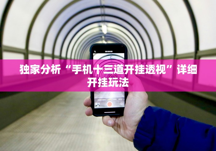 独家分析“手机十三道开挂透视”详细开挂玩法