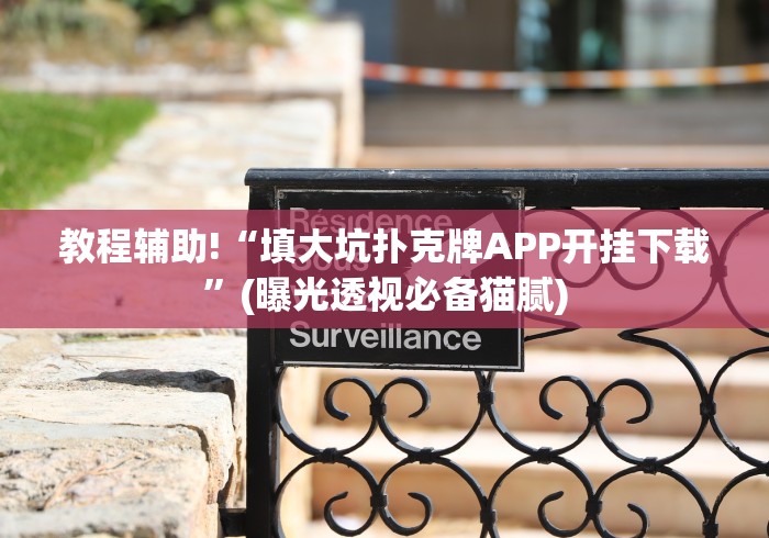 教程辅助!“填大坑扑克牌APP开挂下载”(曝光透视必备猫腻)