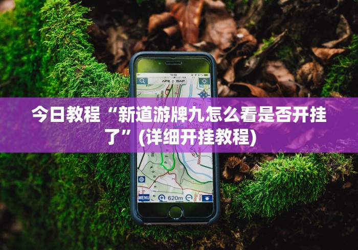 今日教程“新道游牌九怎么看是否开挂了”(详细开挂教程)