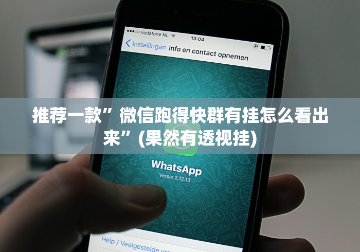 推荐一款”微信跑得快群有挂怎么看出来”(果然有透视挂)