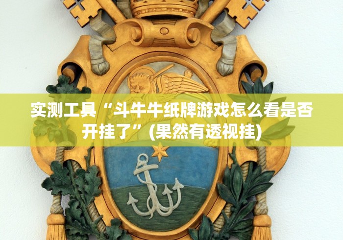 实测工具“斗牛牛纸牌游戏怎么看是否开挂了”(果然有透视挂)
