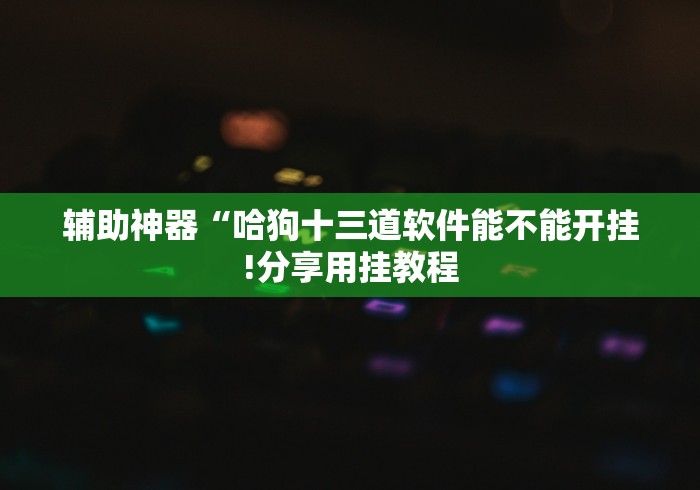 辅助神器“哈狗十三道软件能不能开挂!分享用挂教程