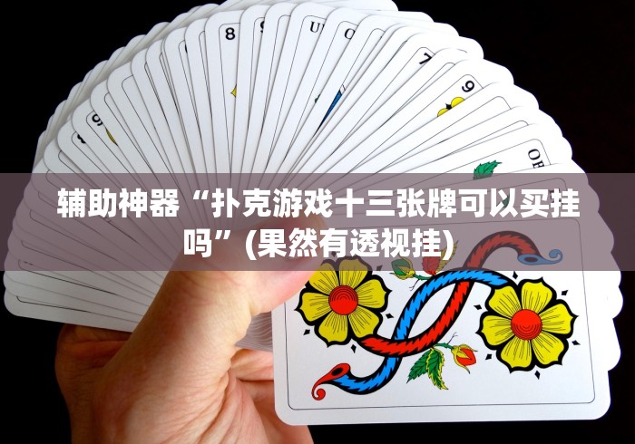 辅助神器“扑克游戏十三张牌可以买挂吗”(果然有透视挂)