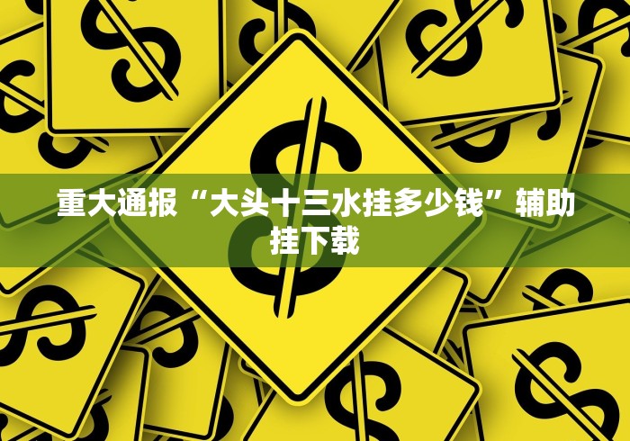 重大通报“大头十三水挂多少钱”辅助挂下载