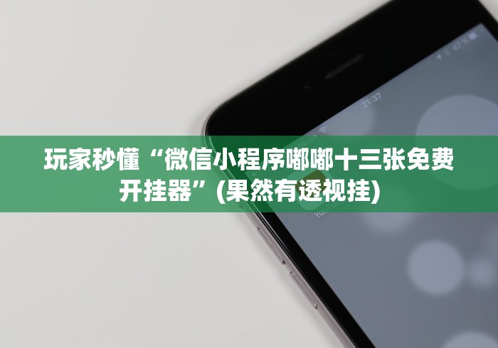 玩家秒懂“微信小程序嘟嘟十三张免费开挂器”(果然有透视挂)