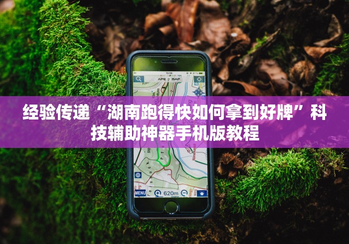 经验传递“湖南跑得快如何拿到好牌”科技辅助神器手机版教程